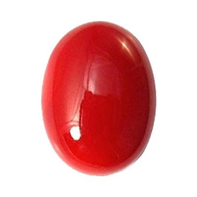Red Coral (मूंगा)